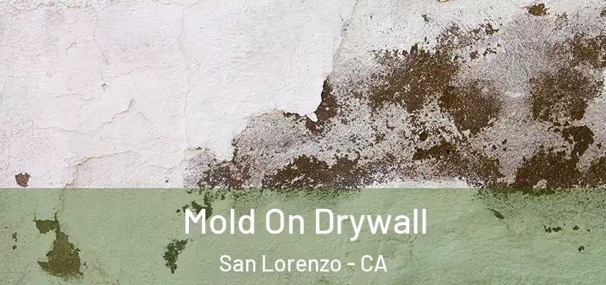  Mold On Drywall San Lorenzo - CA