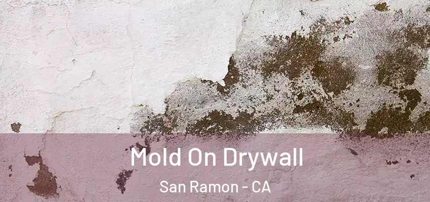  Mold On Drywall San Ramon - CA