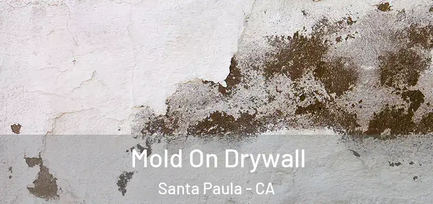 Mold On Drywall Santa Paula - CA
