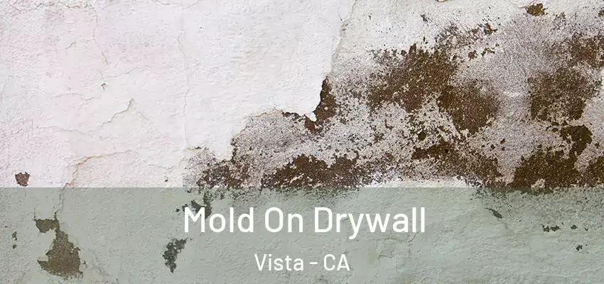  Mold On Drywall Vista - CA