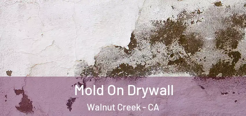  Mold On Drywall Walnut Creek - CA