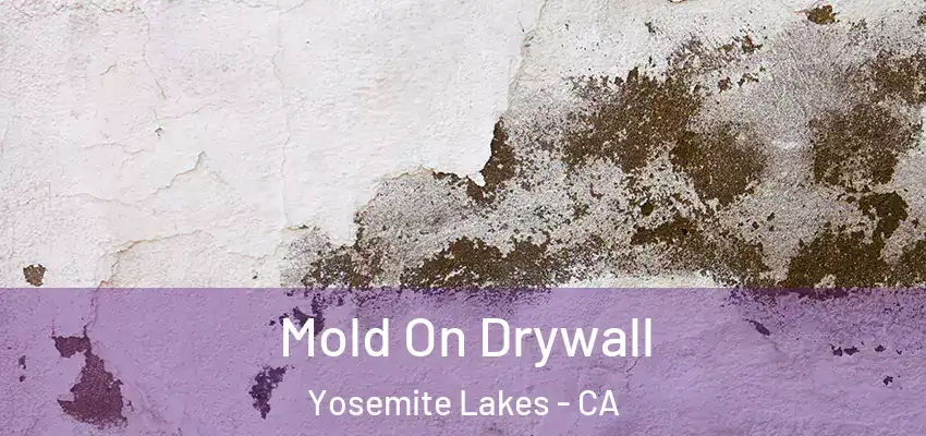 Mold On Drywall Yosemite Lakes - CA