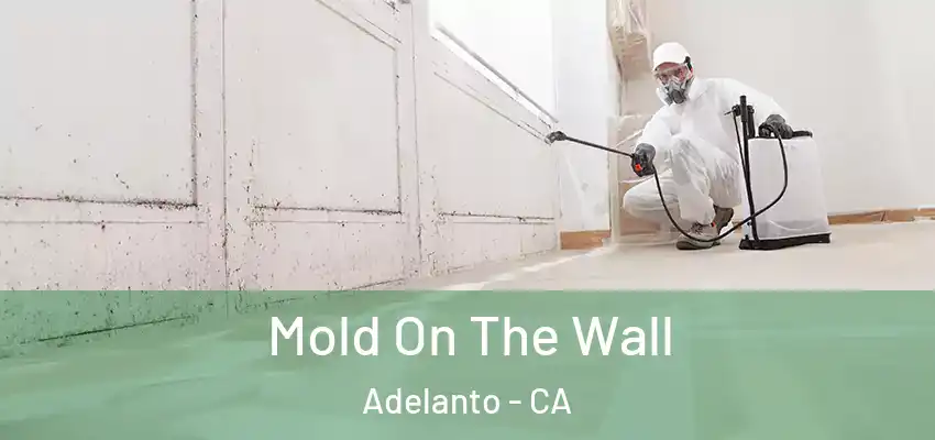  Mold On The Wall Adelanto - CA