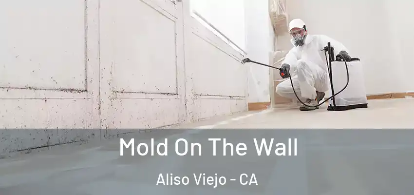  Mold On The Wall Aliso Viejo - CA