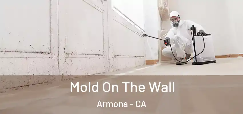  Mold On The Wall Armona - CA