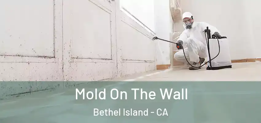  Mold On The Wall Bethel Island - CA