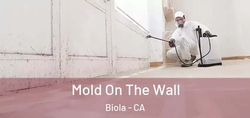  Mold On The Wall Biola - CA
