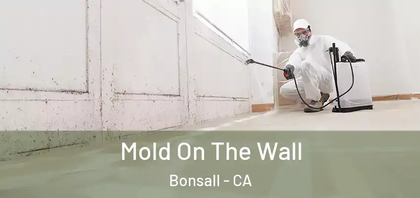  Mold On The Wall Bonsall - CA