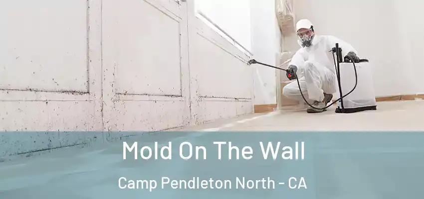  Mold On The Wall Camp Pendleton North - CA