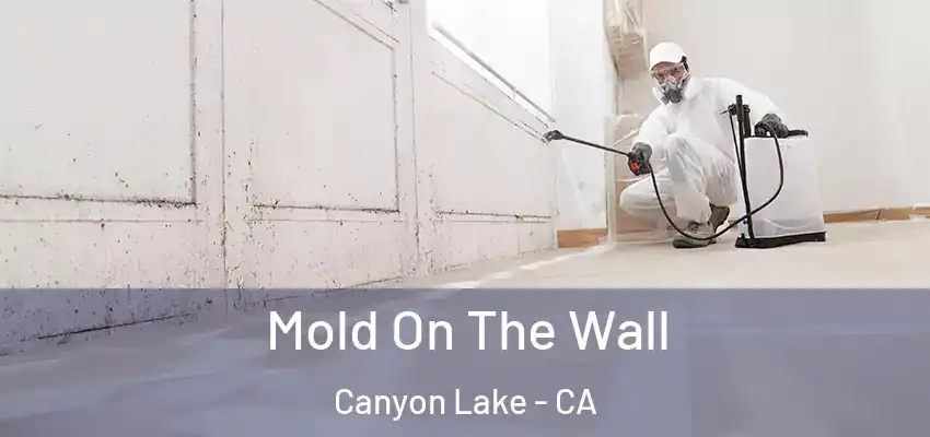  Mold On The Wall Canyon Lake - CA