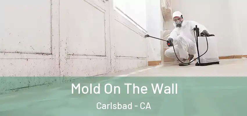  Mold On The Wall Carlsbad - CA