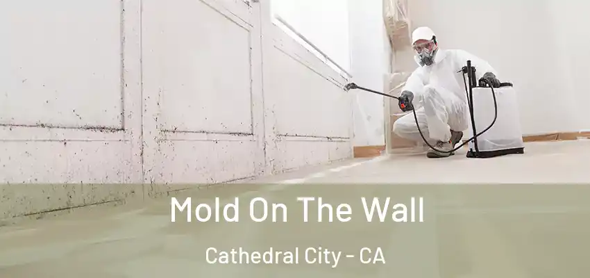  Mold On The Wall Cathedral City - CA