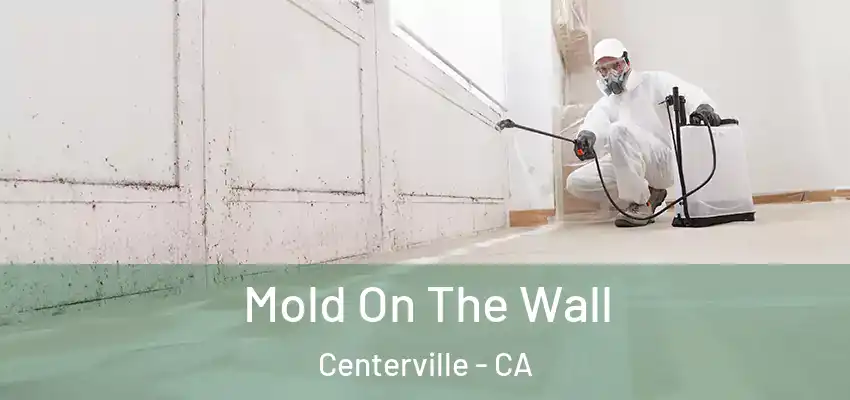  Mold On The Wall Centerville - CA