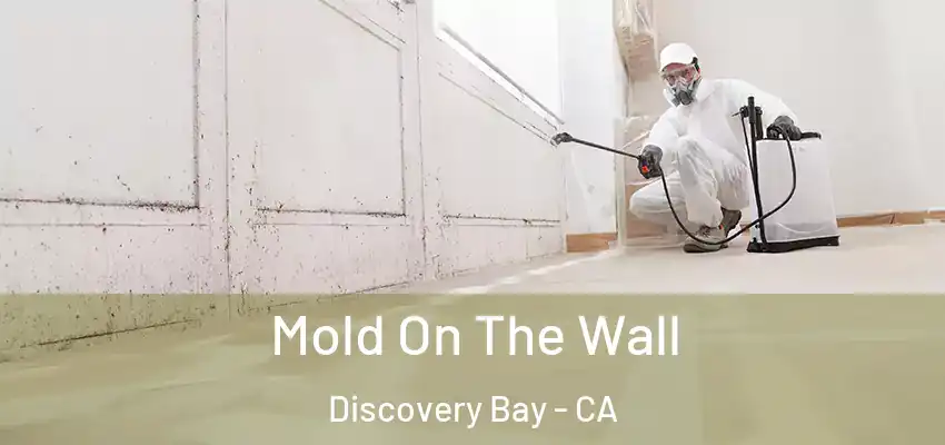  Mold On The Wall Discovery Bay - CA