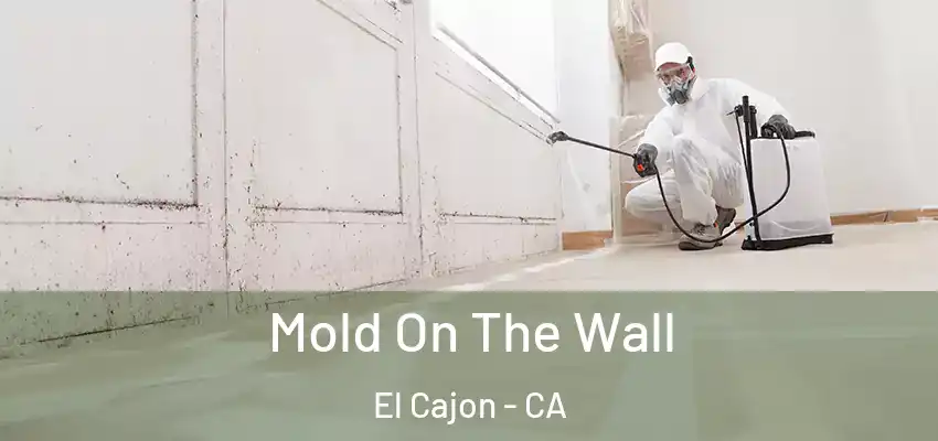  Mold On The Wall El Cajon - CA