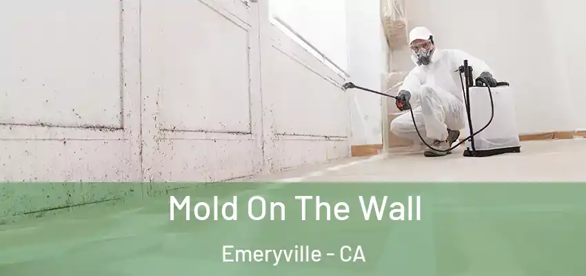  Mold On The Wall Emeryville - CA