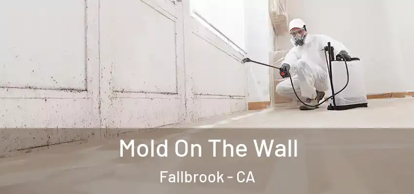  Mold On The Wall Fallbrook - CA