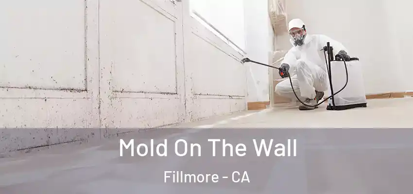  Mold On The Wall Fillmore - CA