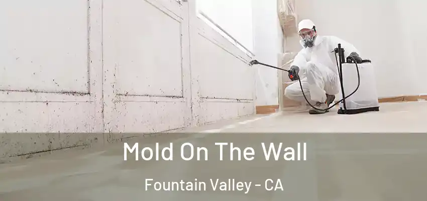  Mold On The Wall Fountain Valley - CA