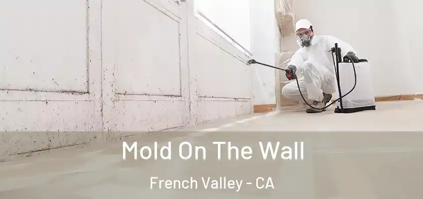 Mold On The Wall French Valley - CA