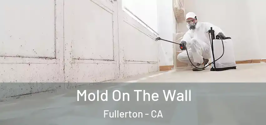  Mold On The Wall Fullerton - CA