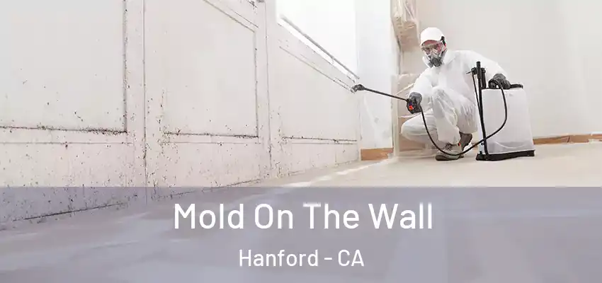  Mold On The Wall Hanford - CA