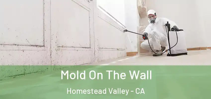  Mold On The Wall Homestead Valley - CA