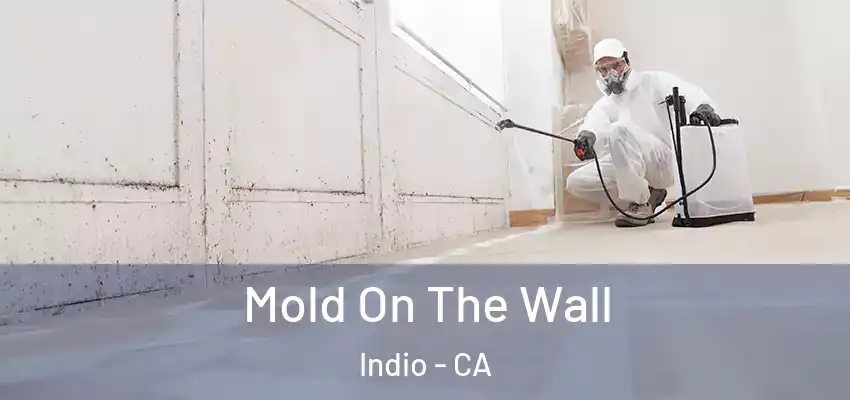  Mold On The Wall Indio - CA