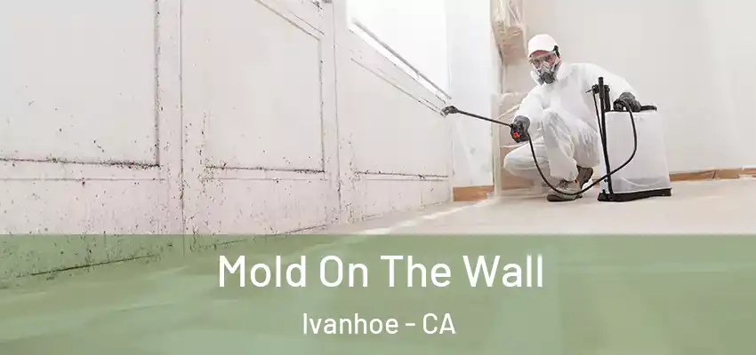  Mold On The Wall Ivanhoe - CA