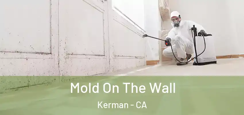  Mold On The Wall Kerman - CA
