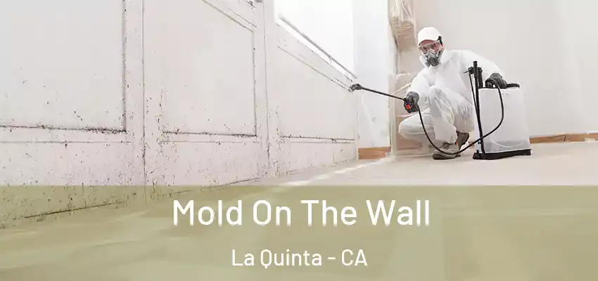  Mold On The Wall La Quinta - CA