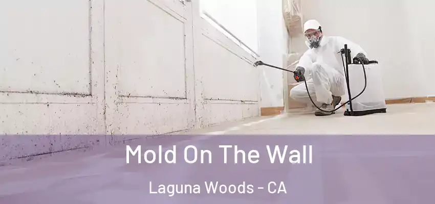  Mold On The Wall Laguna Woods - CA