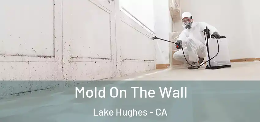  Mold On The Wall Lake Hughes - CA