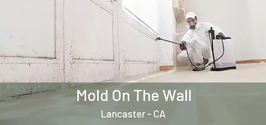  Mold On The Wall Lancaster - CA