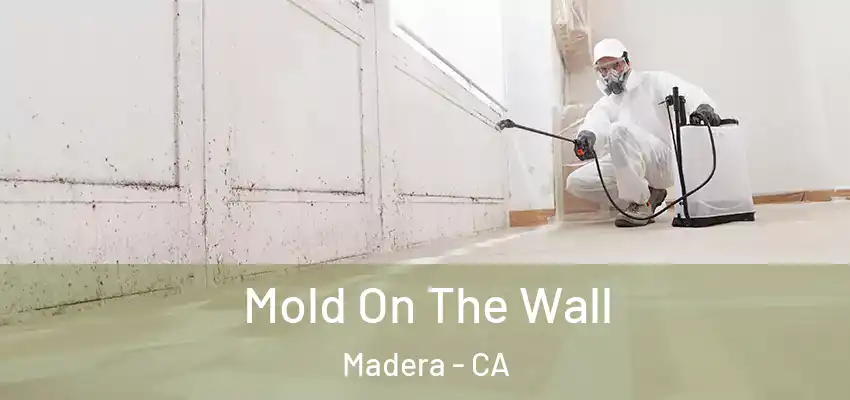  Mold On The Wall Madera - CA