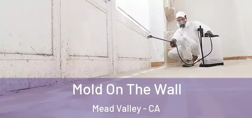  Mold On The Wall Mead Valley - CA