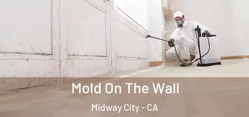  Mold On The Wall Midway City - CA