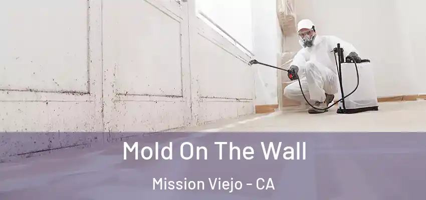  Mold On The Wall Mission Viejo - CA