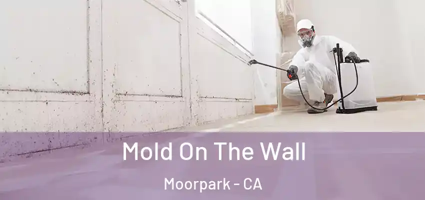  Mold On The Wall Moorpark - CA