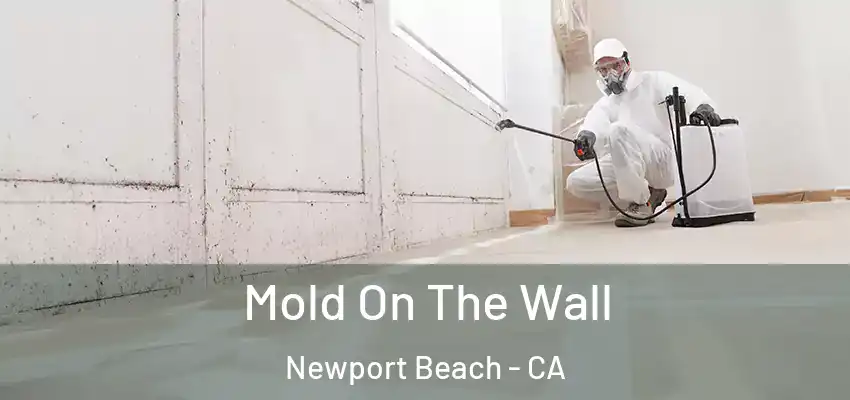  Mold On The Wall Newport Beach - CA