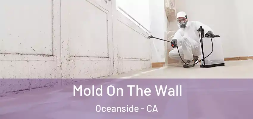  Mold On The Wall Oceanside - CA