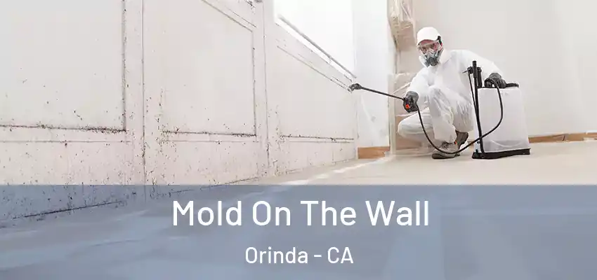  Mold On The Wall Orinda - CA