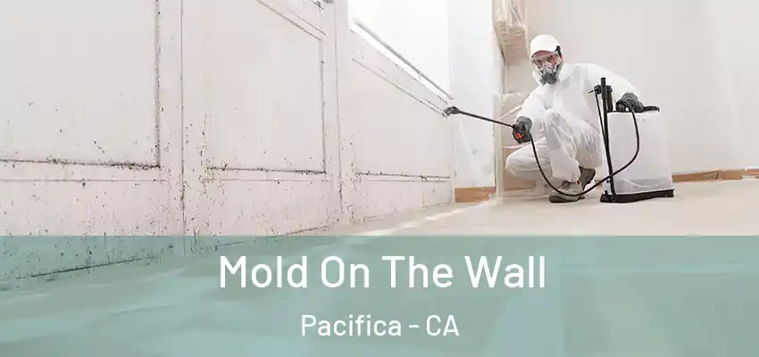  Mold On The Wall Pacifica - CA