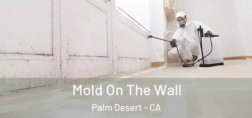 Mold On The Wall Palm Desert - CA