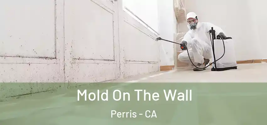  Mold On The Wall Perris - CA