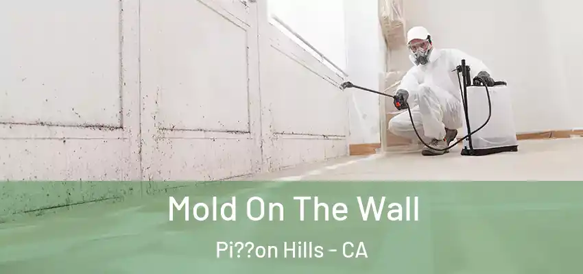  Mold On The Wall Pi??on Hills - CA