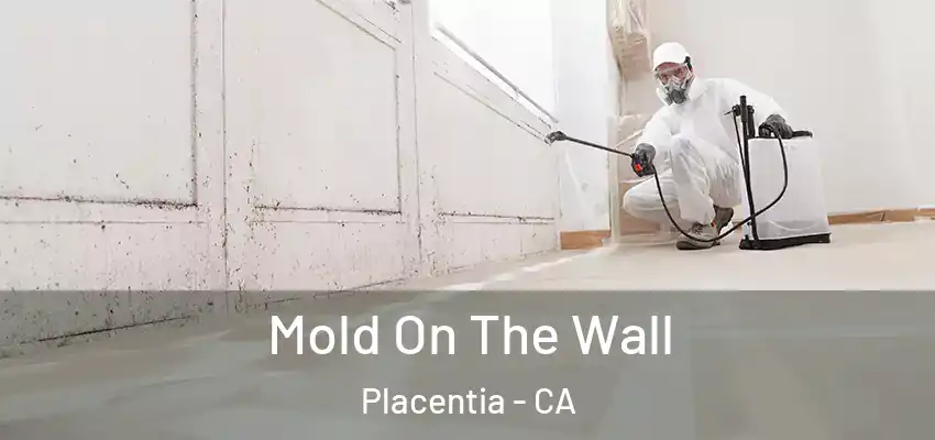  Mold On The Wall Placentia - CA