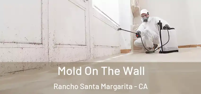  Mold On The Wall Rancho Santa Margarita - CA