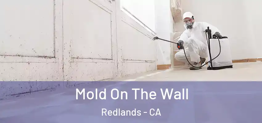  Mold On The Wall Redlands - CA