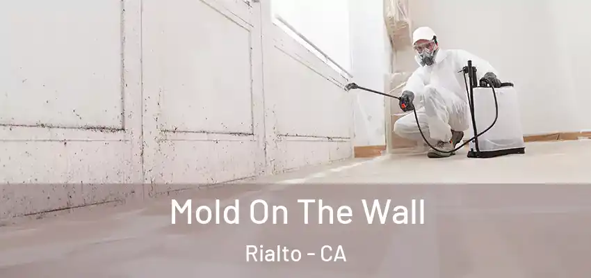  Mold On The Wall Rialto - CA